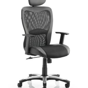 Victor II Mesh Back Executive Office Chair with Arms