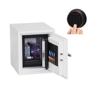 Phoenix Datacare Data Safe - Image 2