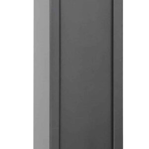 Phoenix Lacerta Gun Safe