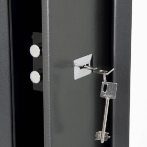 Phoenix Lacerta Gun Safe - Image 2