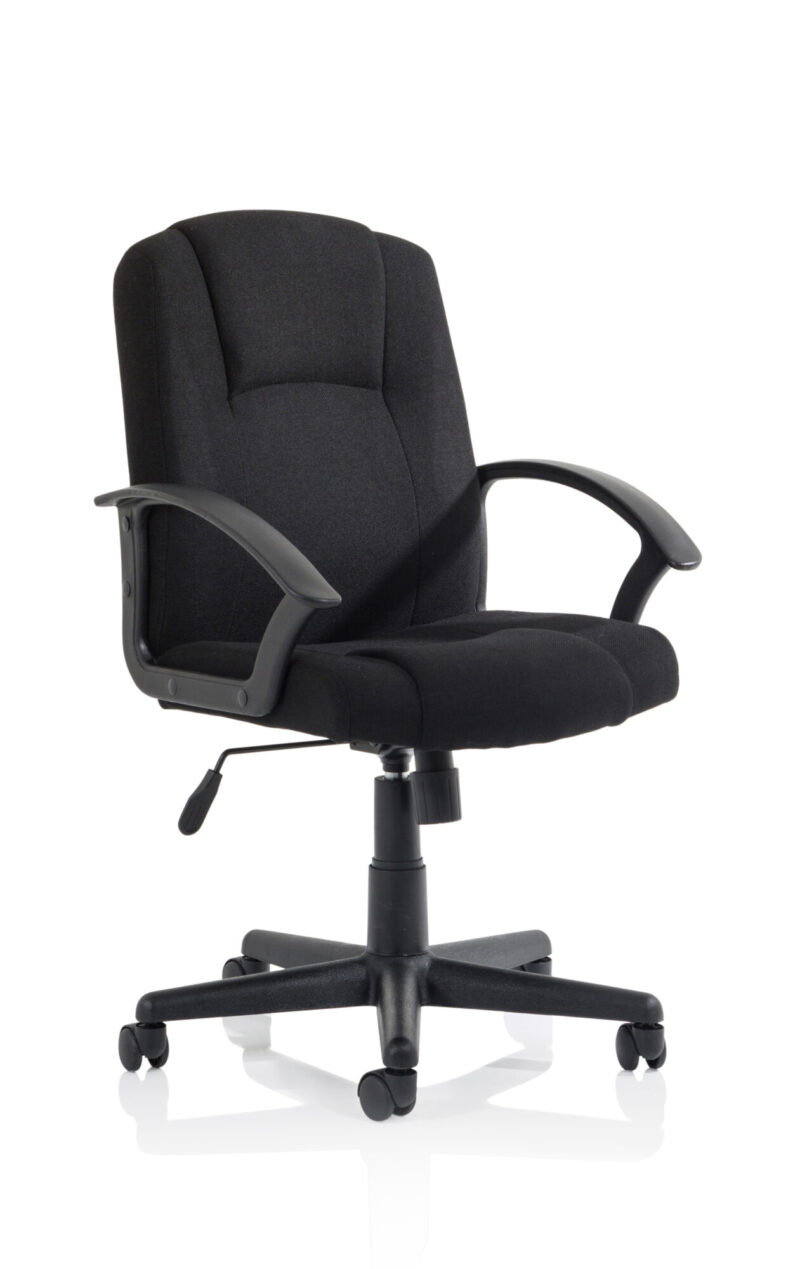 OE - Bella Executive Managers Chair - Image 2